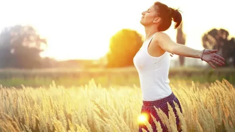 Whole Being Wellness Plan – $1400 (Three Months)